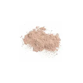 Sunforgettable Total Protection Brush-On Shield Tan Spf50